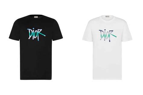 dior stussy tshirt|shawn stussy x Dior t shirts.